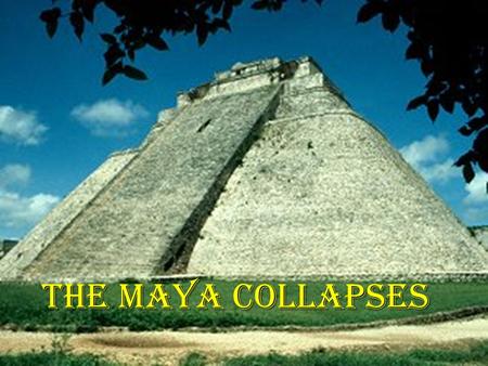 THE MAYA COLLAPSES. Overview Why Maya? Maya Environment Maya Agriculture Maya History Mayan Collapse.