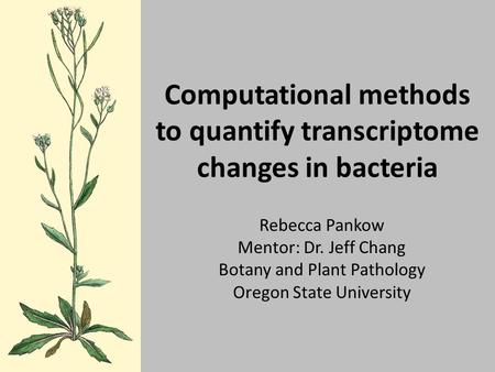 Computational methods to quantify transcriptome changes in bacteria Rebecca Pankow Mentor: Dr. Jeff Chang Botany and Plant Pathology Oregon State University.