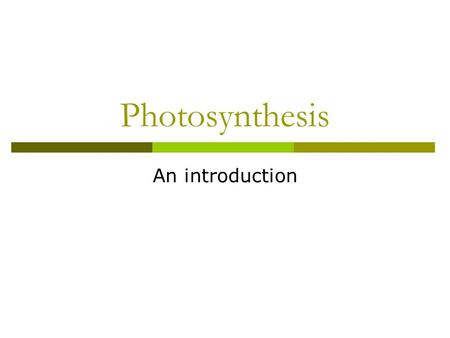 Photosynthesis An introduction. Photosynthesis Class Brainstorm.