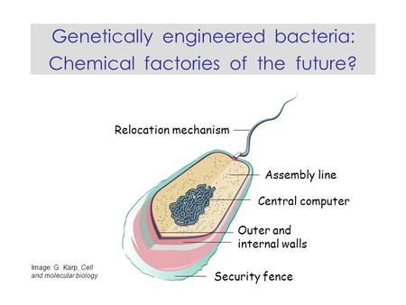 Genetically engineered bacteria: Chemical factories of the future? Relocation mechanism Assembly line Central computer Security fence Outer and internal.