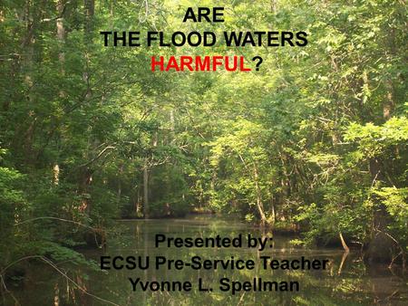 Presented by: ECSU Pre-Service Teacher Yvonne L. Spellman ARE THE FLOOD WATERS HARMFUL?