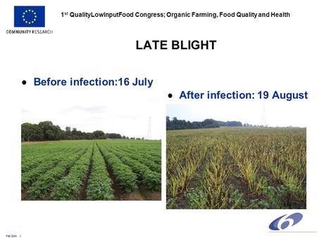 Feb 2004 1 1 st QualityLowInputFood Congress; Organic Farming, Food Quality and Health LATE BLIGHT l Before infection:16 July l After infection: 19 August.