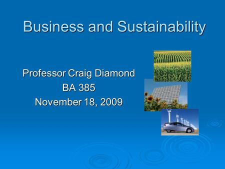 Business and Sustainability Professor Craig Diamond BA 385 November 18, 2009.
