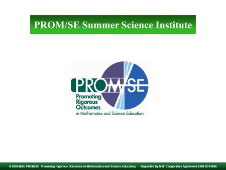 PROM/SE Summer Science Institute © 2005 MSU PROM/SE Promoting Rigorous Outcomes in Mathematics and Science Education, Supported by NSF Cooperative Agreement.