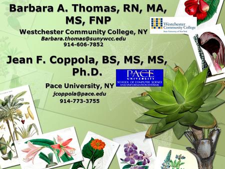 Barbara A. Thomas, RN, MA, MS, FNP Westchester Community College, NY 914-606-7852 Westchester Community College, NY