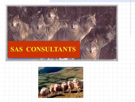 SAS CONSULTANTS. Sheep in Wolf’s Clothing By Gary McQuown Data and Analytic Solutions, Inc.