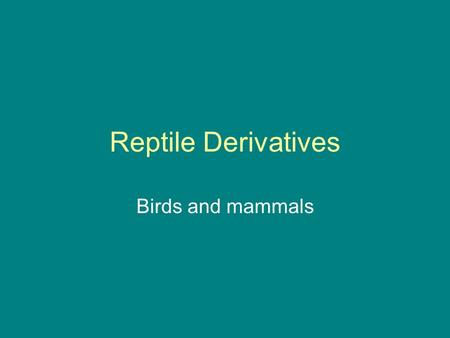 Reptile Derivatives Birds and mammals. Archaeopteryx = “first” bird.