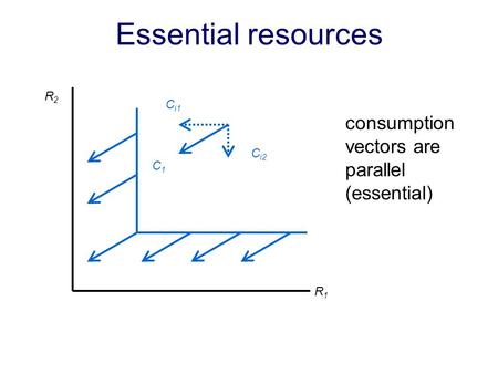 Essential resources consumption vectors are parallel (essential) R1R1 R2R2 C i1 C i2 C1C1.