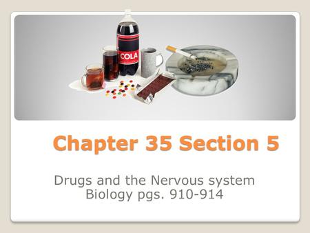 Drugs and the Nervous system Biology pgs