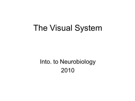 The Visual System Into. to Neurobiology 2010.