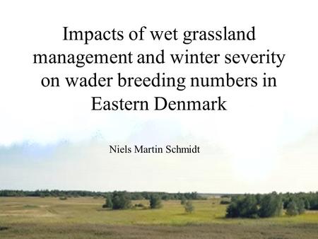 Niels Martin Schmidt Impacts of wet grassland management and winter severity on wader breeding numbers in Eastern Denmark.
