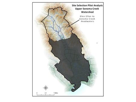 Restoration Site Prioritization Analysis Pilot Coarse Filters: Glen Ellen to Sonoma Creek headwaters SSA sub-watersheds Areas of observed salmonid presence.