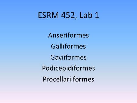 ESRM 452, Lab 1 Anseriformes Galliformes Gaviiformes Podicepidiformes