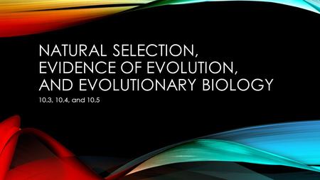 NATURAL SELECTION, EVIDENCE OF EVOLUTION, AND EVOLUTIONARY BIOLOGY 10.3, 10.4, and 10.5.