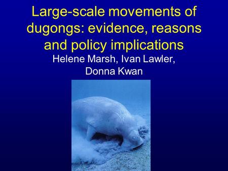 Large-scale movements of dugongs: evidence, reasons and policy implications Helene Marsh, Ivan Lawler, Donna Kwan.