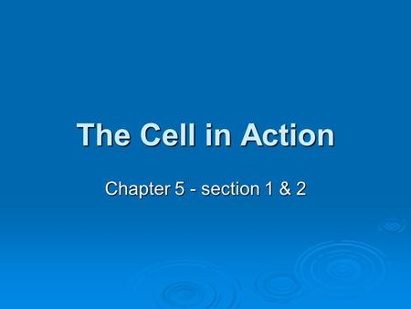 The Cell in Action Chapter 5 - section 1 & 2.