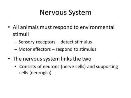Nervous System All animals must respond to environmental stimuli