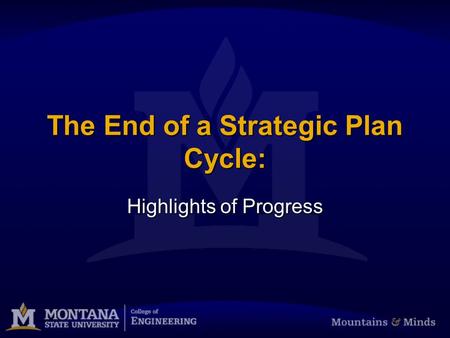 The End of a Strategic Plan Cycle: Highlights of Progress.