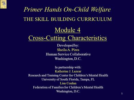 1 THE SKILL BUILDING CURRICULUM Module 4 Cross-Cutting Characteristics Developed by: Sheila A. Pires Human Service Collaborative Washington, D.C. In partnership.
