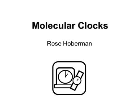 Molecular Clocks Rose Hoberman.