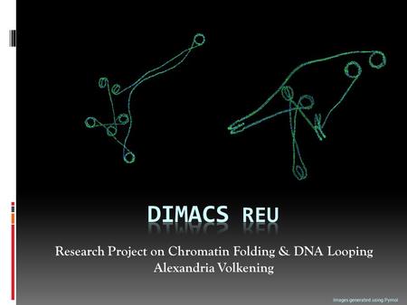Research Project on Chromatin Folding & DNA Looping Alexandria Volkening Images generated using Pymol.