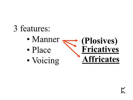 3 features: Manner Place Voicing (Plosives) Fricatives Affricates.