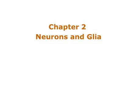 Chapter 2 Neurons and Glia