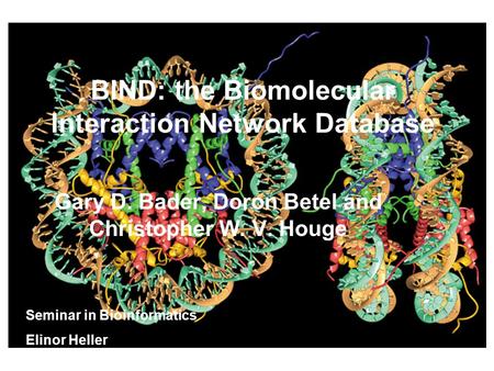 BIND: the Biomolecular Interaction Network Database Gary D. Bader, Doron Betel and Christopher W. V. Houge Seminar in Bioinformatics Elinor Heller.