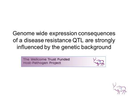 Genome wide expression consequences of a disease resistance QTL are strongly influenced by the genetic background.