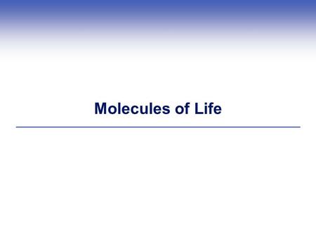 Molecules of Life.  Molecules of life are synthesized by living cells Carbohydrates Lipids Proteins Nucleic acids.