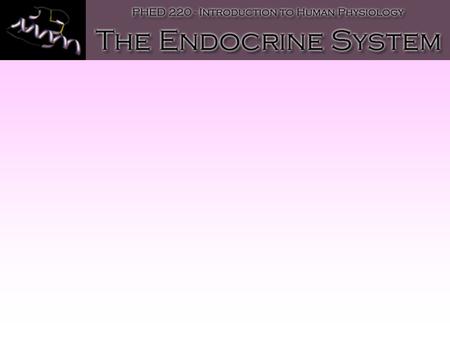 Characteristics of the Endocrine System