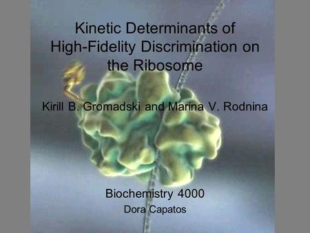 Kirill B. Gromadski and Marina V. Rodnina Biochemistry 4000 Dora Capatos Kinetic Determinants of High-Fidelity Discrimination on the Ribosome.