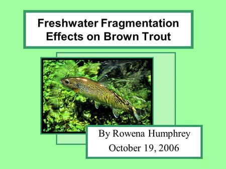 Freshwater Fragmentation Effects on Brown Trout By Rowena Humphrey October 19, 2006.