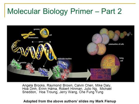 Molecular Biology Primer – Part 2