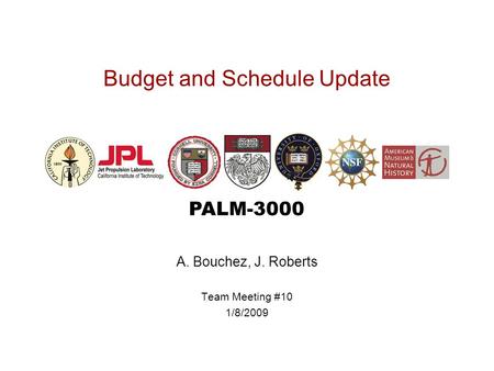 PALM-3000 Budget and Schedule Update A. Bouchez, J. Roberts Team Meeting #10 1/8/2009.