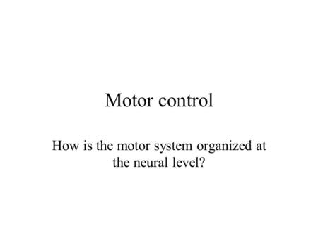 How is the motor system organized at the neural level?
