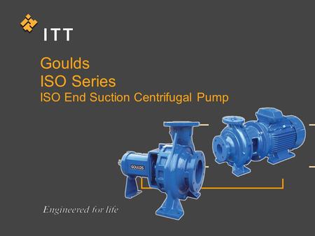 Goulds ISO Series ISO End Suction Centrifugal Pump