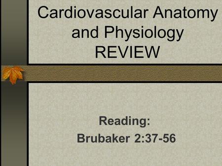 Cardiovascular Anatomy and Physiology REVIEW Reading: Brubaker 2:37-56.