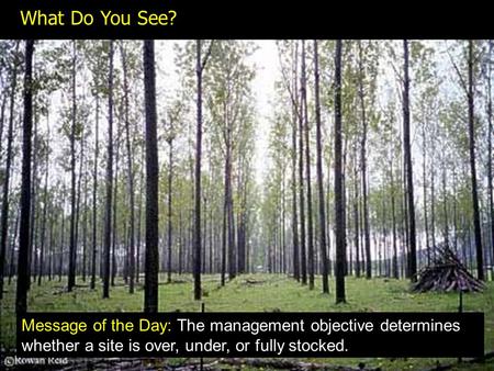 What Do You See? Message of the Day: The management objective determines whether a site is over, under, or fully stocked.
