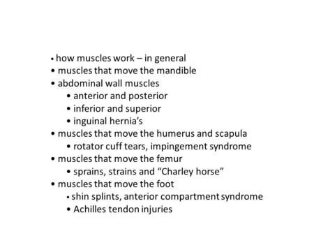 How muscles work – in general muscles that move the mandible abdominal wall muscles anterior and posterior inferior and superior inguinal hernia’s muscles.