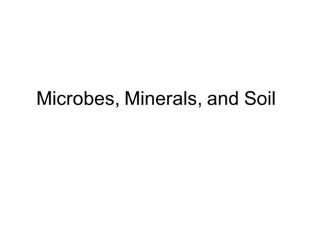 Microbes, Minerals, and Soil