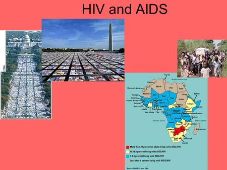 HIV and AIDS. Immune System Overview HIV lives in these cells.
