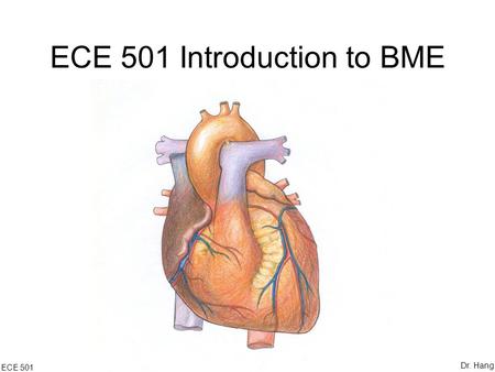 ECE 501 Introduction to BME ECE 501 Dr. Hang. Part IV Bioinstrumentation Electrocardiogram ECE 501 Dr. Hang.