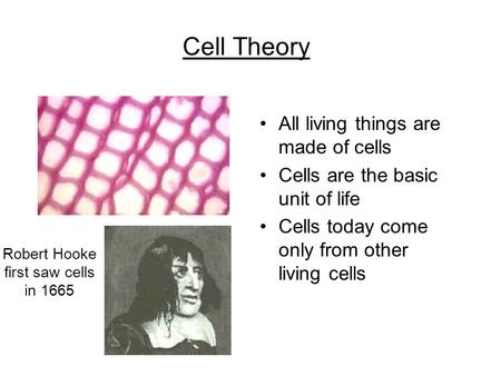 Cell Theory All living things are made of cells Cells are the basic unit of life Cells today come only from other living cells Robert Hooke first saw cells.