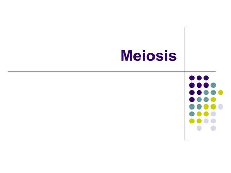 Meiosis. Somatic cells undergo Mitosis Gametes or sex cells undergo meiosis, resulting in a cell with half of the usual number of chromosomes (compared.