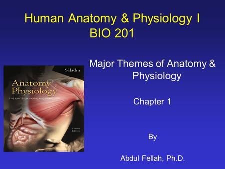 Human Anatomy & Physiology I BIO 201