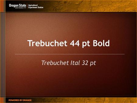 Trebuchet 44 pt Bold Trebuchet Ital 32 pt. Trebuchet Bold 32 Point Section Header Trebuchet Bold 22 Point Trebuchet 18 Point. Sed ut perspiciatis unde.