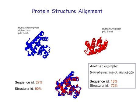 Protein Structure Alignment