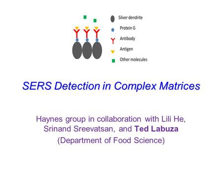 SERS Detection in Complex Matrices Haynes group in collaboration with Lili He, Srinand Sreevatsan, and Ted Labuza (Department of Food Science)