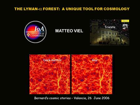 MATTEO VIEL THE LYMAN-  FOREST: A UNIQUE TOOL FOR COSMOLOGY Bernard’s cosmic stories – Valencia, 26 June 2006 Trieste Dark matter Gas.